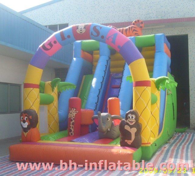 BHIS-19
